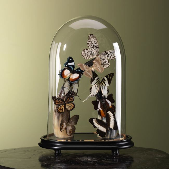 3873 Vlinders in Stolp