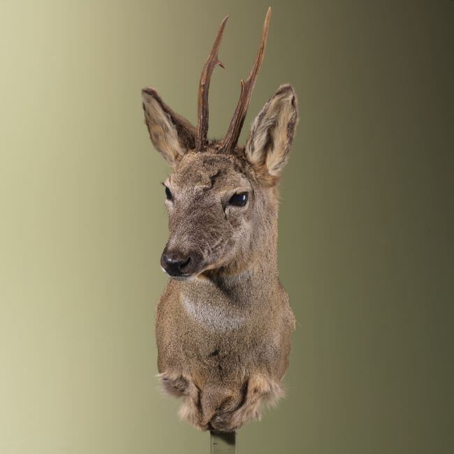 3960 Reebok Wintervacht