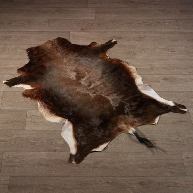 0000 Blesbok Huid