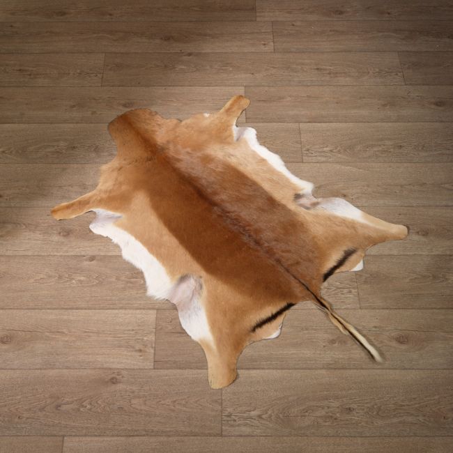 0000 Impala Huid